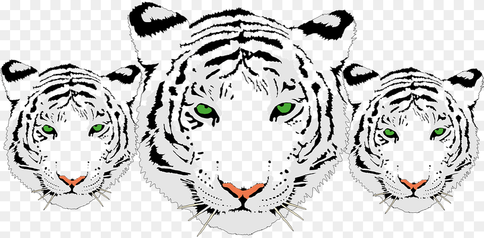 White Tiger Head, Stencil, Electronics, Face, Hardware Free Png Download