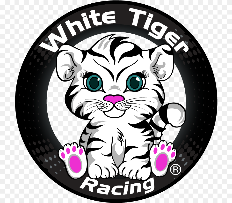 White Tiger Racing Cartoon, Baby, Person, Face, Head Free Transparent Png