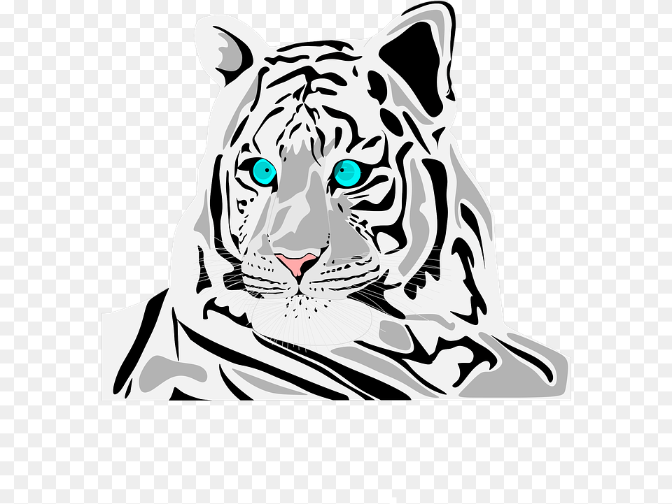 White Tiger Tiger, Stencil, Animal, Lion, Mammal Free Png