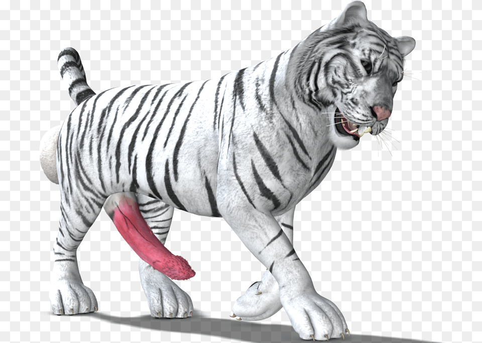 White Tiger White Tiger, Animal, Mammal, Wildlife Free Png Download