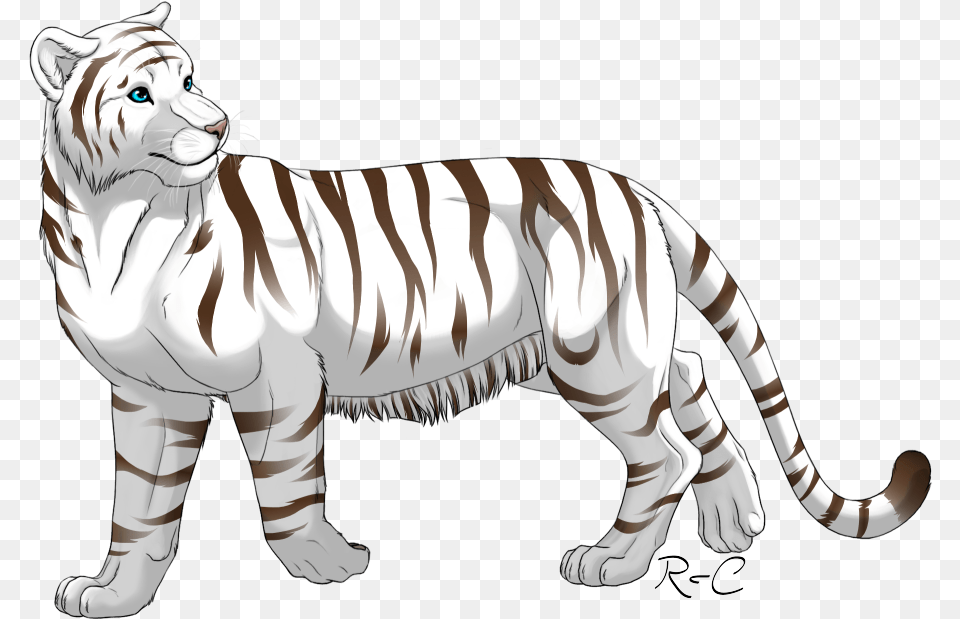 White Tiger White Tiger Transparent Background, Animal, Mammal, Wildlife, Baby Free Png