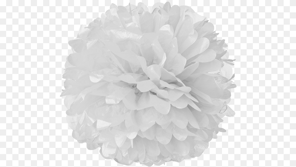 White Tissue Pom Poms Pom Pom, Paper, Flower, Plant, Rose Png