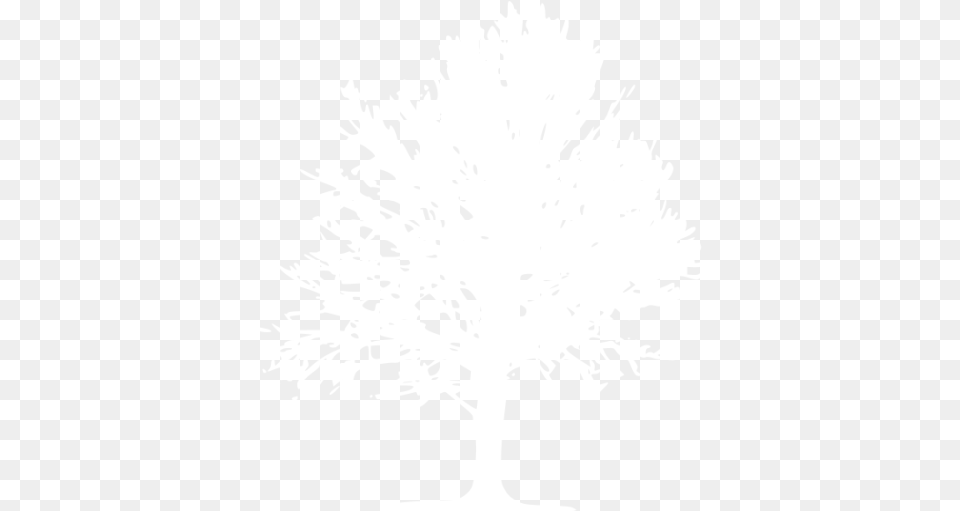 White Tree 18 Icon Sketch, Plant, Silhouette, Stencil, Person Png Image