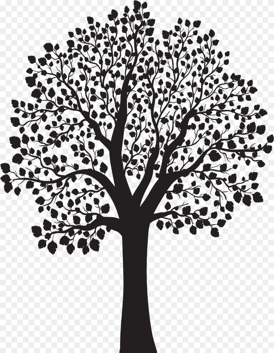 White Tree, Art, Drawing, Plant Png Image
