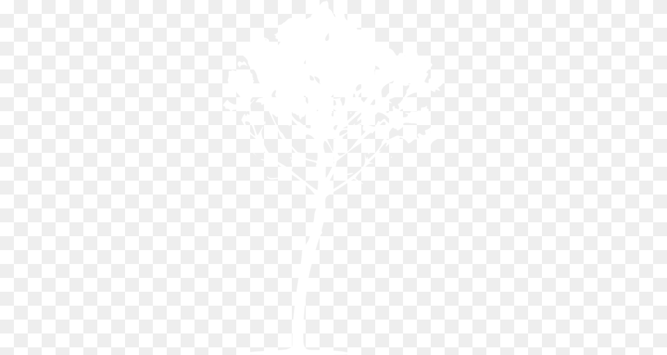 White Tree 34 Icon Full, Plant, Stencil, Person, Art Free Png Download