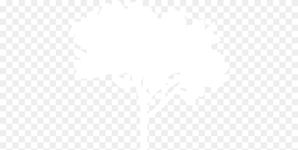 White Tree 60 Icon Trees White Icon, Stencil, Silhouette, Art, Leaf Free Transparent Png