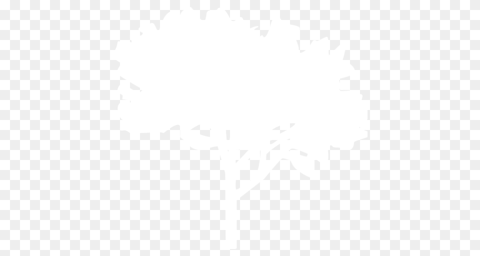 White Tree Icon, Stencil, Silhouette, Art, Adult Png