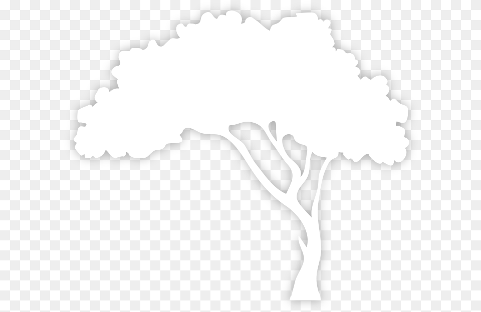 White Tree Silhouette, Stencil, Plant, Art, Person Free Png Download