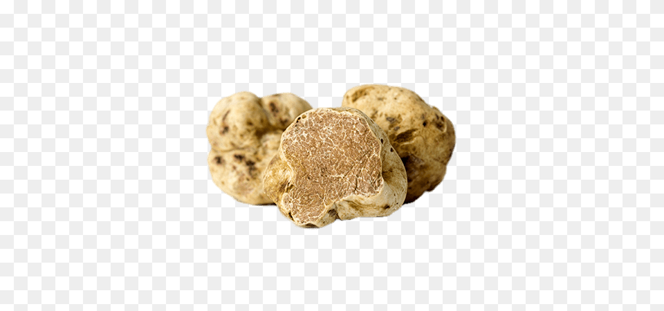 White Truffles, Fungus, Plant, Burger, Food Png Image