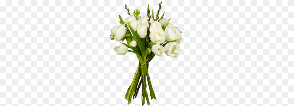 White Tulip Bouquet Bouquet, Flower, Flower Arrangement, Flower Bouquet, Plant Free Png Download