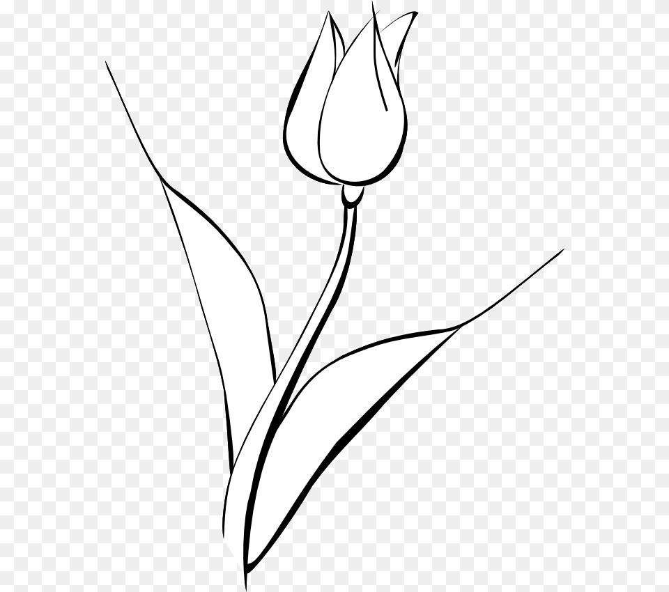 White Tulip Clip Art Noelle Nichols Black And White Tulip Art, Flower, Plant, Bow, Weapon Png
