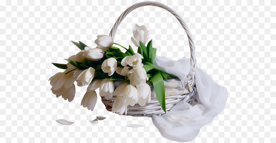White Tulips Basket, Flower, Flower Arrangement, Flower Bouquet, Plant Free Transparent Png