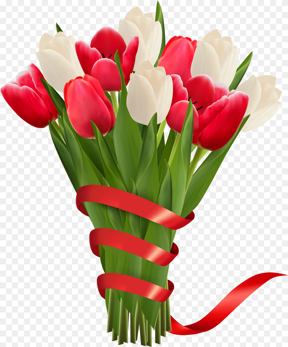 White Tulips Bouquet U0026 Clipart Most Beautiful Flower Bouquet Free Transparent Png