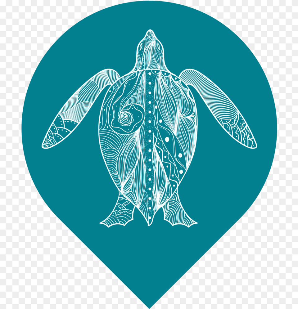 White Turtle Events Turtles, Pattern Png Image