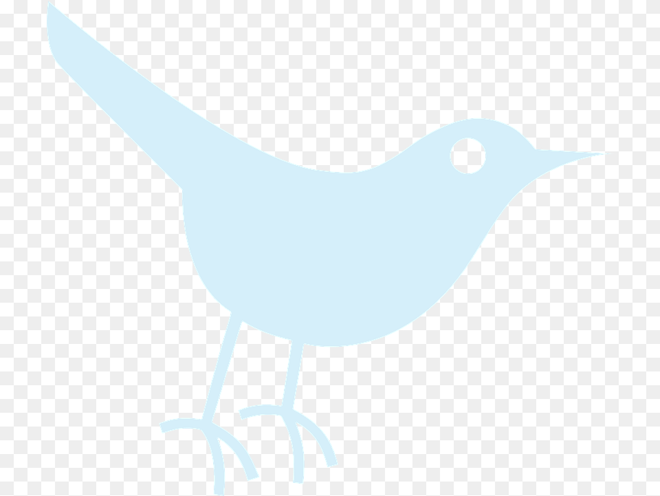White Twitter Icon Transparent Social Media, Animal, Bird, Blackbird, Beak Free Png Download