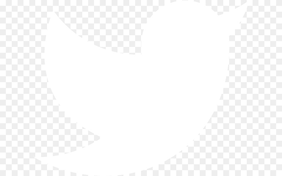 White Twitter Logo Clipart Vector Twitter White Logo, Astronomy, Moon, Nature, Night Png Image