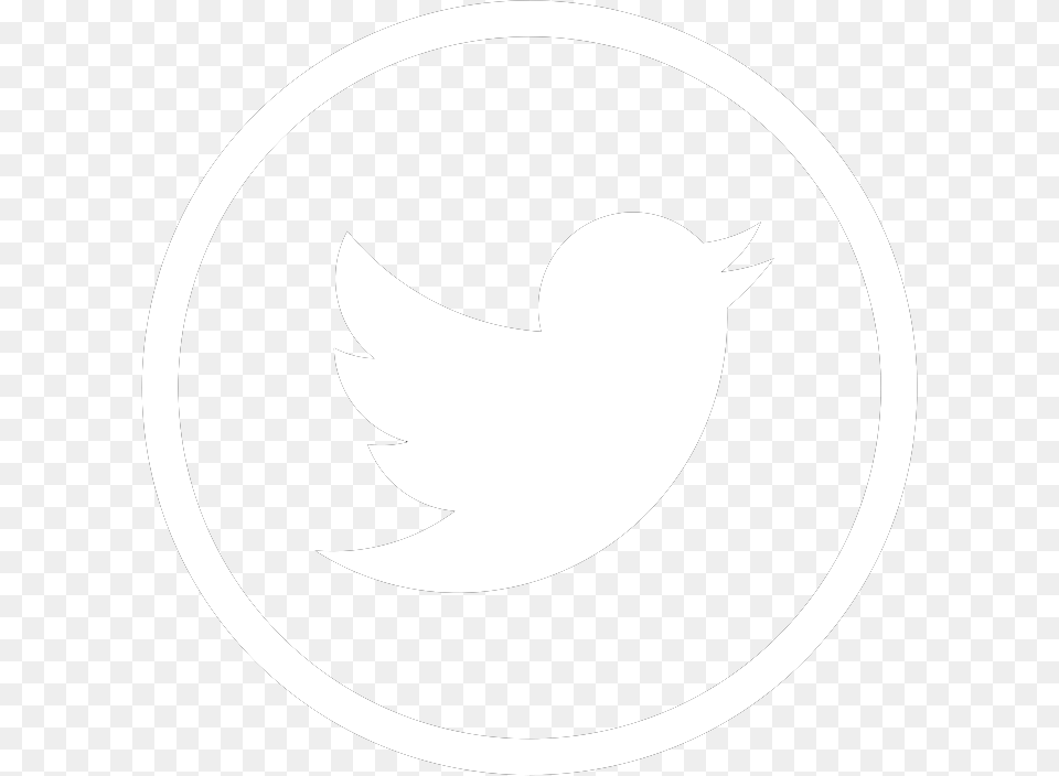 White Twitter Logo Gif Free Transparent Png