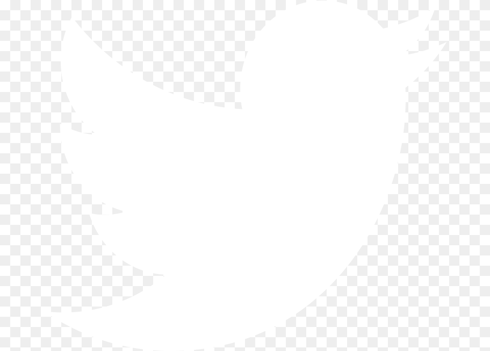 White Twitter Logo Vector, Stencil, Astronomy, Moon, Nature Free Png Download