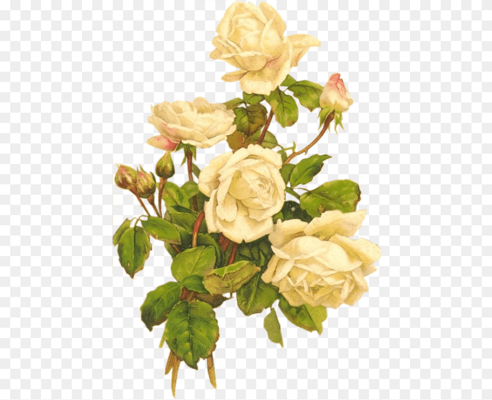 White Vintage Flowers, Flower, Flower Arrangement, Plant, Rose Free Png Download