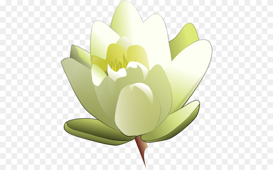 White Water Lily Clip Art, Flower, Plant, Pond Lily, Ammunition Free Transparent Png