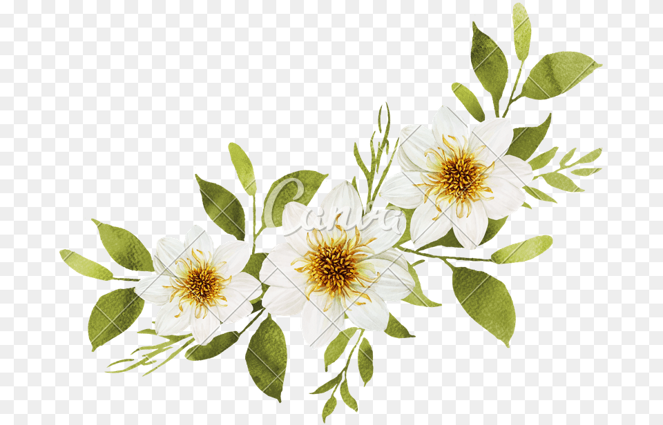 White Watercolor Flowers Bouquet White Watercolor Flowers, Anemone, Art, Floral Design, Flower Free Png Download