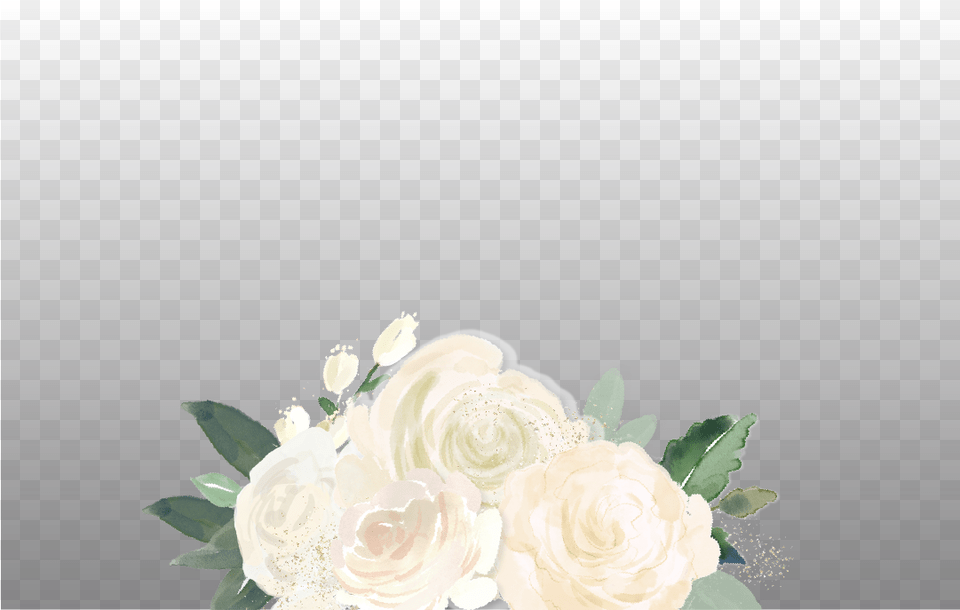 White Watercolor Flowers Garden Roses, Rose, Plant, Flower, Flower Arrangement Free Png