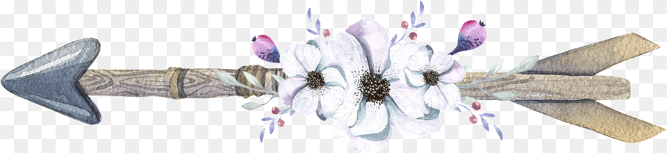 White Watercolor Hand Painted Flower Arrow Toile Flches Boho 30 X 40 Cm, Plant, Sword, Weapon, Petal Free Transparent Png