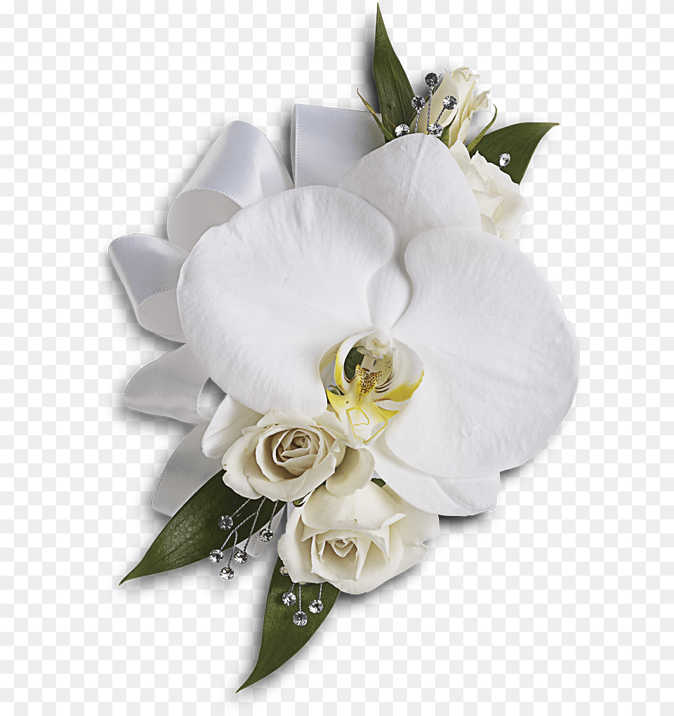 White Wedding Flowers Phalaenopsis Orchid Wrist Corsage, Flower, Flower Arrangement, Flower Bouquet, Plant Png Image