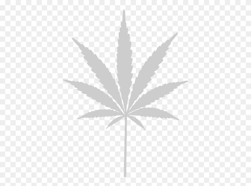 White Weed Leaf Cannakids Logo, Plant, Stencil Free Transparent Png