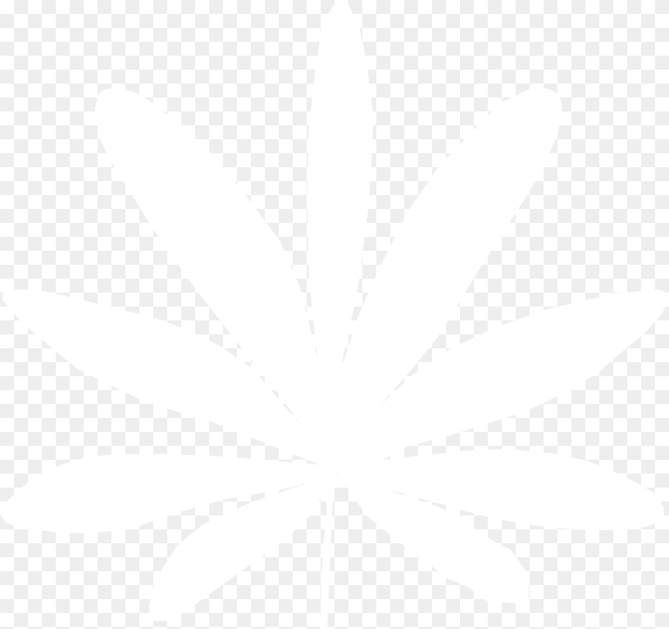 White Weed Plant Logo, Daisy, Flower, Stencil, Petal Free Png Download