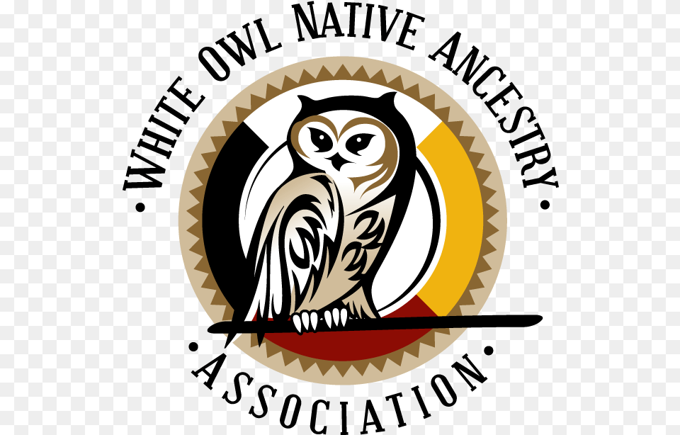 White White Owl Native Ancestry Association, Animal, Bird Png Image