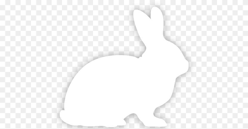 White White Rabbit Silhouette, Animal, Mammal, Baby, Person Free Png