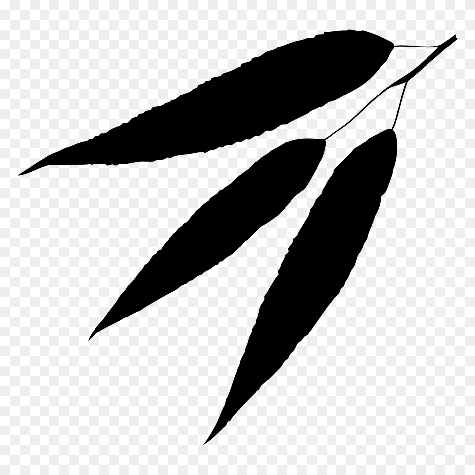 White Willow Leaf Silhouette, Plant, Animal, Fish, Sea Life Png