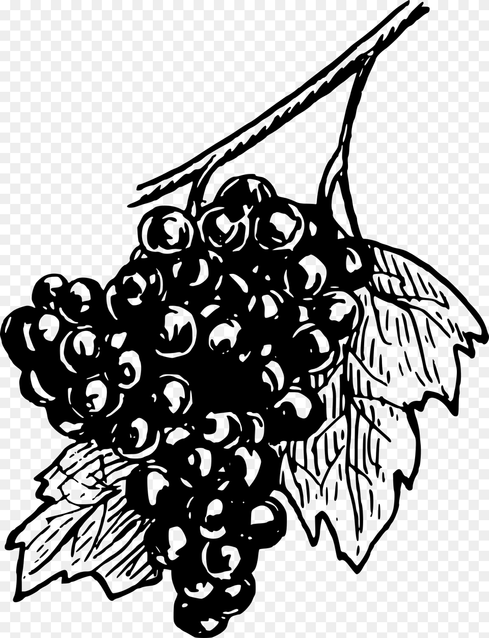 White Wine Grapes Black And White Wine Grapes Clipart, Gray Free Png Download