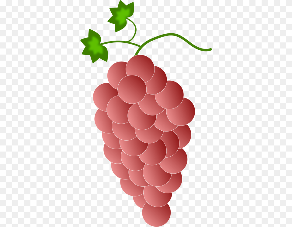White Wine Red Wine Isabella Grape Grapes Color, Food, Fruit, Plant, Produce Free Png Download