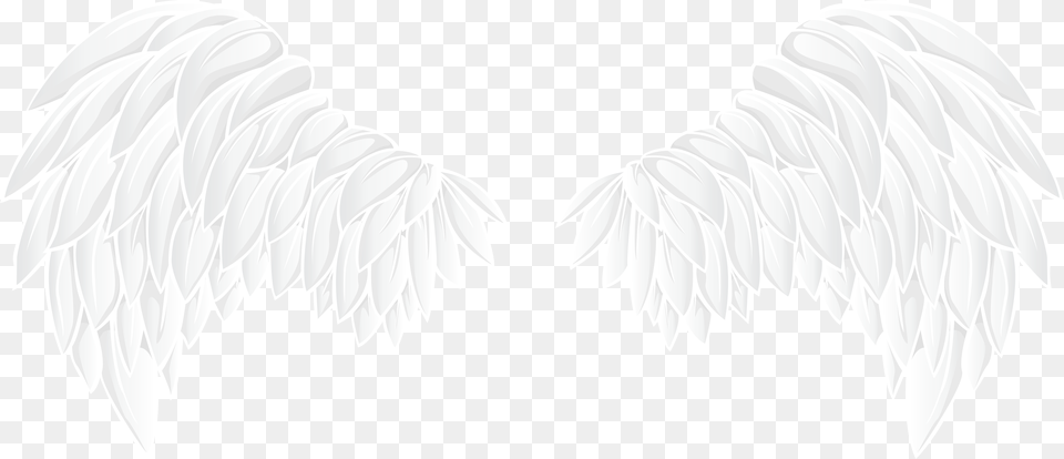 White Wings, Angel, Animal, Bird, Vulture Png