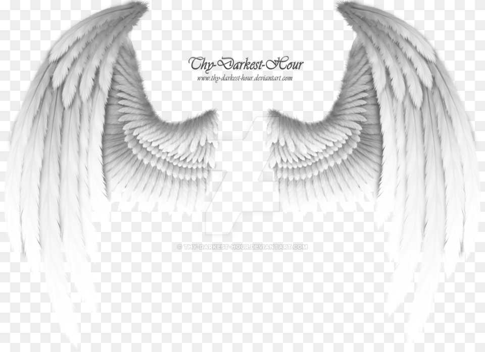 White Wings Download Golden Angel Wings, Animal, Bird Free Transparent Png