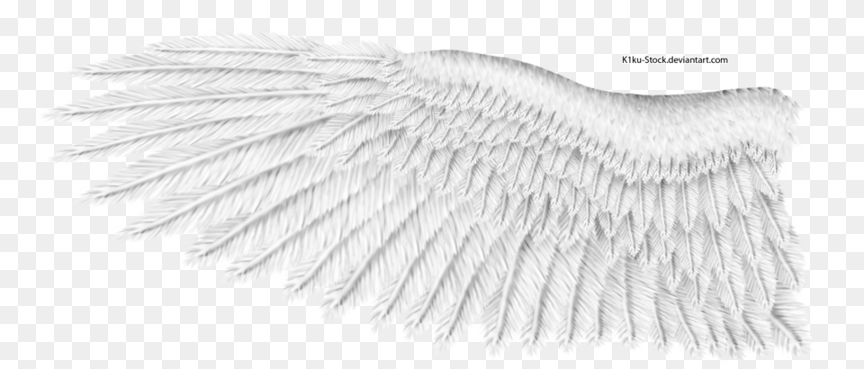 White Wings Image White Eagle Wings, Animal, Bird, Vulture, Angel Png
