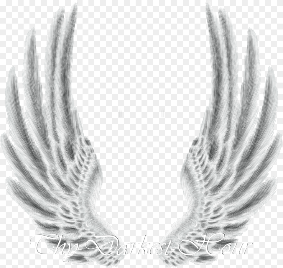 White Wings Metal Wings Hd, Animal, Bird, Angel, Electronics Png Image