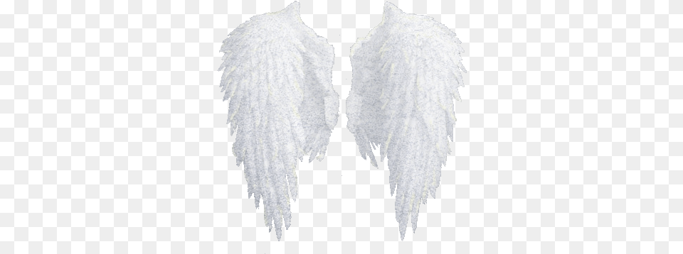 White Wings Psychic Tarot Readings Realistic Angel Wing Drawing, Ice, Accessories Png Image