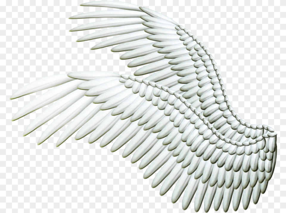 White Wings Silver Wings Transparent Background, Animal, Bird, Electronics, Hardware Png Image