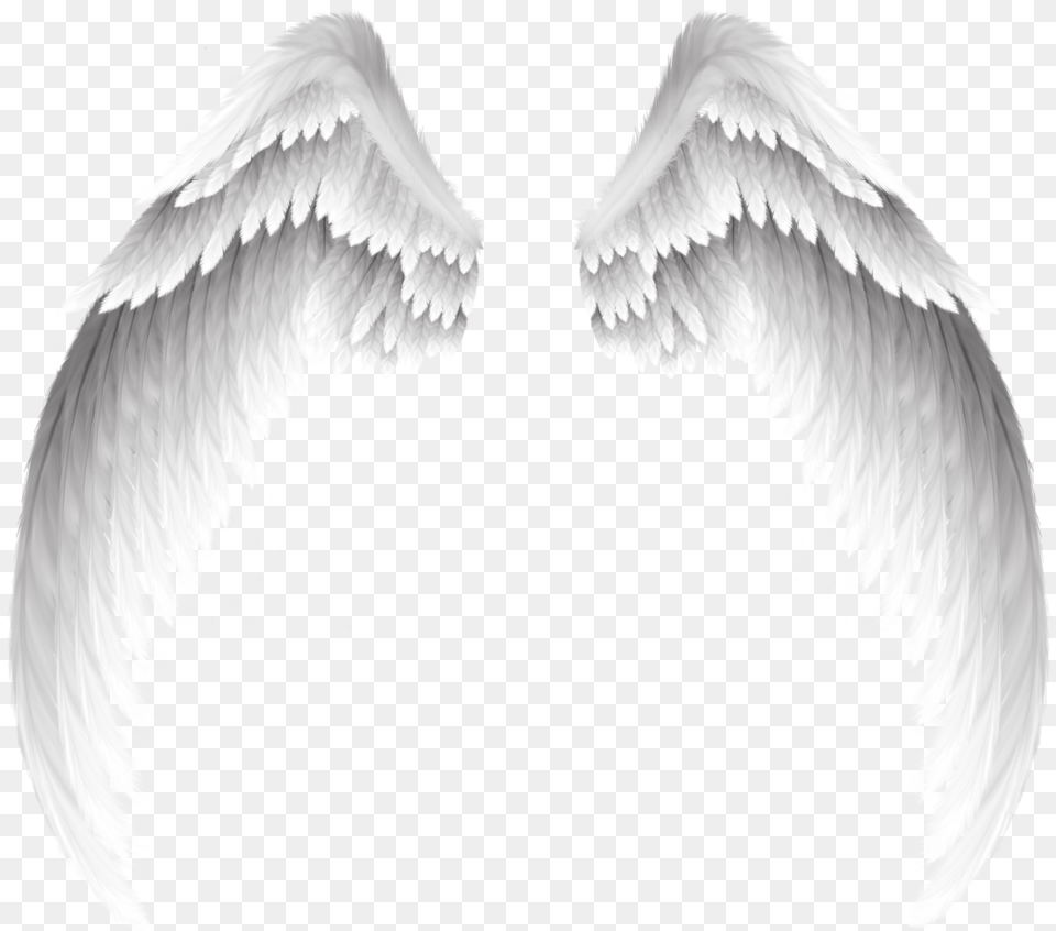 White Wings Swirls Decor Decoration Icon Icons Overlay Flight Of Broken Wings, Angel, Animal, Bird Png