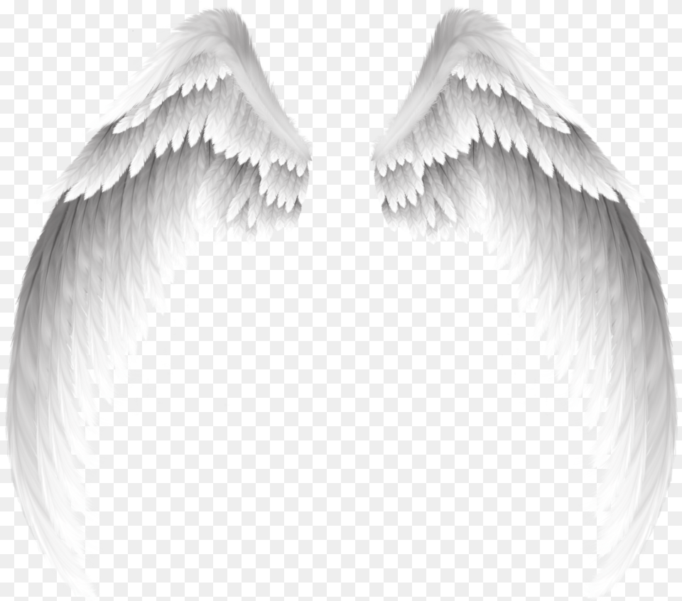 White Wings Swirls Decor Decoration Icon Icons Overlay White Wings, Angel, Animal, Bird Free Png
