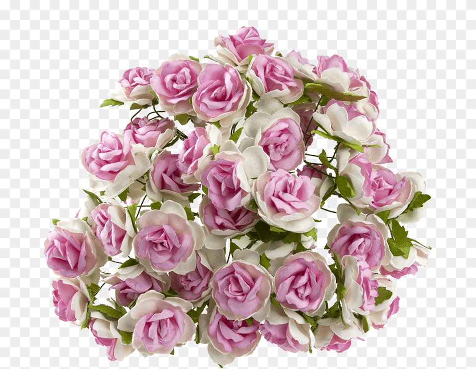 White With Dusky Pink Centre Mulberry Paper Wild, Flower, Flower Arrangement, Flower Bouquet, Plant Free Transparent Png