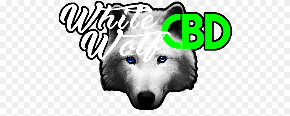 White Wolf Cbd Logo Canadian Eskimo Dog, Animal, Canine, Mammal, Pet Free Transparent Png