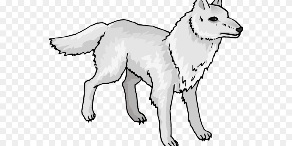 White Wolf Clipart Wolf Silhouette, Animal, White Dog, Canine, Dog Png