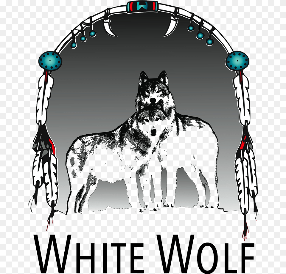 White Wolf Tahoe Northern Breed Group, Animal, Mammal, Canine, Dog Png