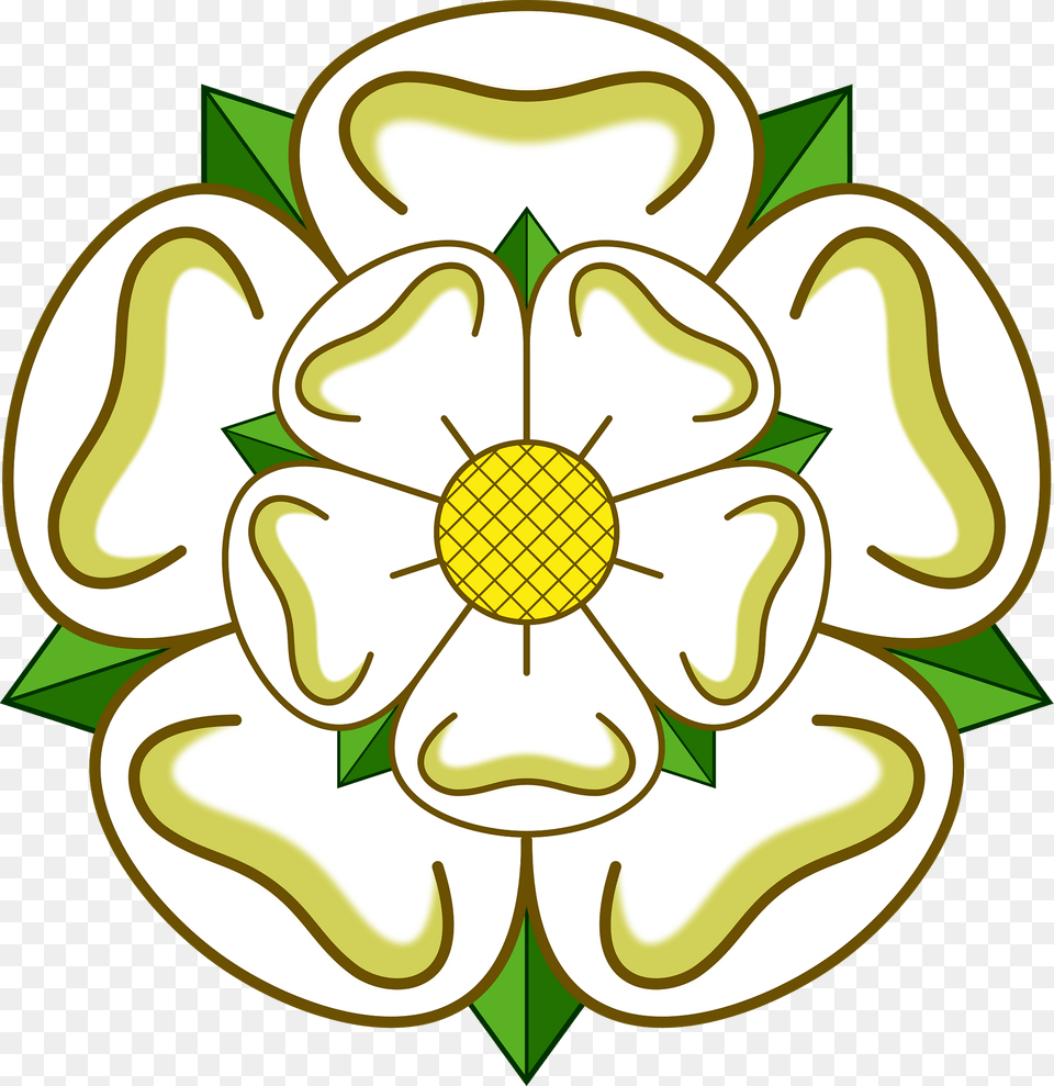 White Yorkshire Rose Clipart, Daisy, Flower, Pattern, Plant Free Png