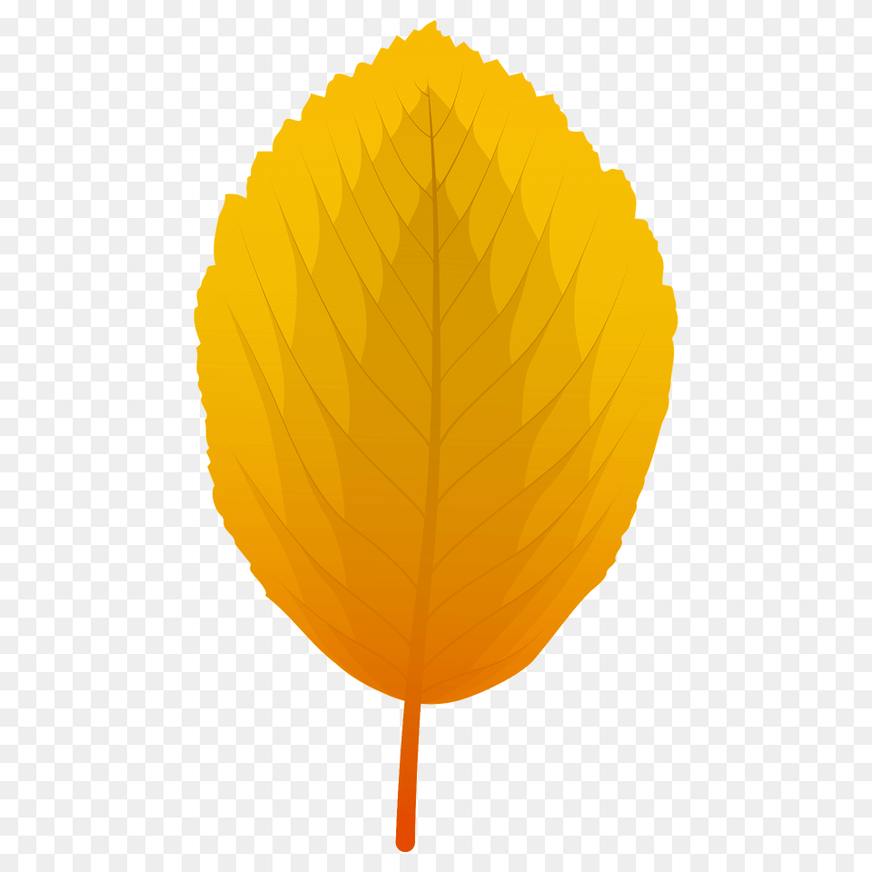 Whitebeam Autumn Leaf Clipart, Plant, Tree Free Png Download