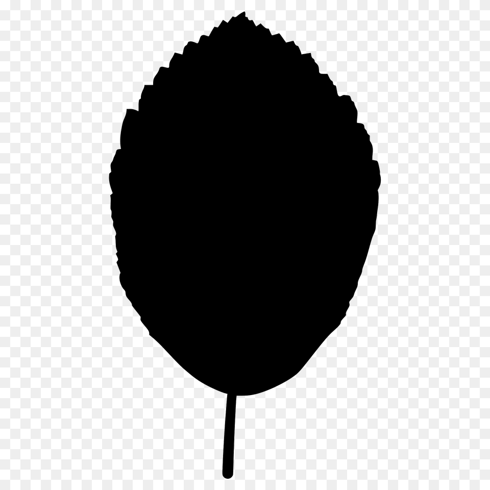 Whitebeam Leaf Silhouette, Plant Free Png